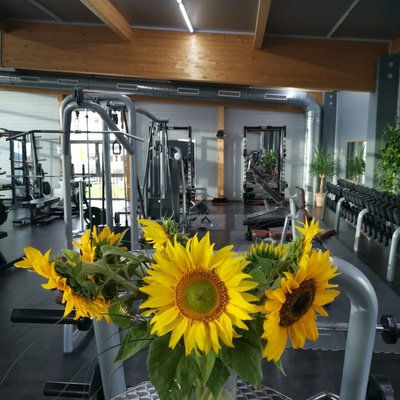 Training im Fitnessstudio von INJOY